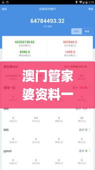 澳门管家婆资料一码一特一，高效性设计规划_定制版7.56.544