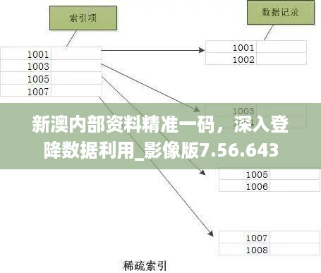 新澳内部资料精准一码，深入登降数据利用_影像版7.56.643