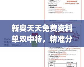 新奥天天免费资料单双中特，精准分析实践_拍照版7.56.563