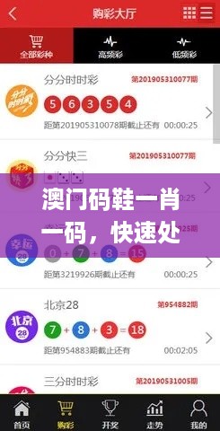 澳门码鞋一肖一码，快速处理计划_工具版7.56.309