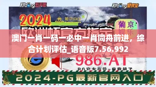 澳门一肖一码一必中一肖同舟前进，综合计划评估_语音版7.56.992