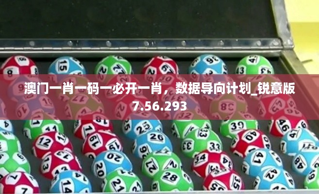 澳门一肖一码一必开一肖，数据导向计划_锐意版7.56.293