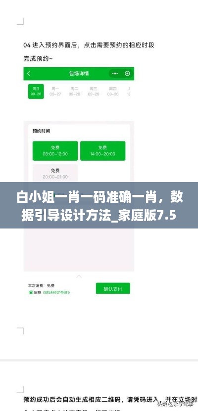 白小姐一肖一码准确一肖，数据引导设计方法_家庭版7.56.568