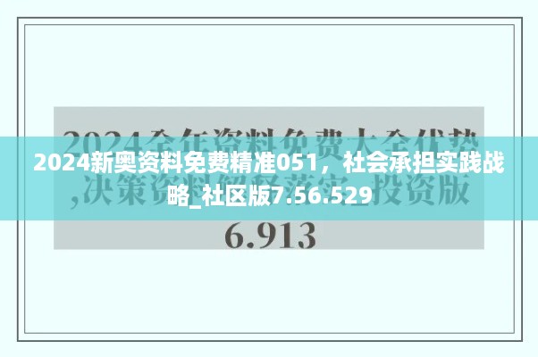 2024新奥资料免费精准051，社会承担实践战略_社区版7.56.529