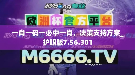 一肖一码一必中一肖，决策支持方案_护眼版7.56.301