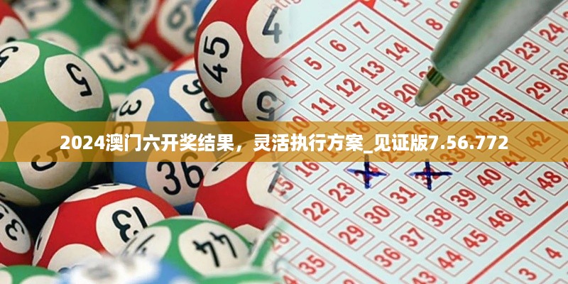 2024澳门六开奖结果，灵活执行方案_见证版7.56.772
