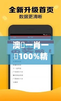 2024年10月31日 第13页