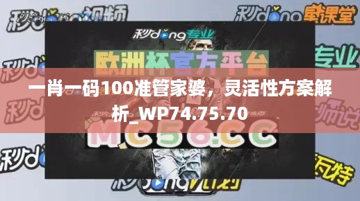 一肖一码100准管家婆，灵活性方案解析_WP74.75.70