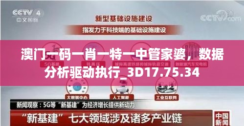 澳门一码一肖一特一中管家婆，数据分析驱动执行_3D17.75.34