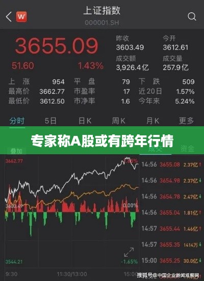 容光焕发 第51页