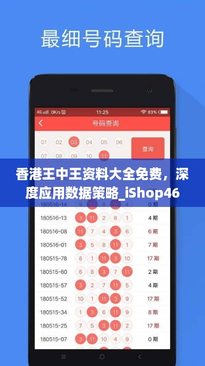 香港王中王资料大全免费，深度应用数据策略_iShop46.10.79