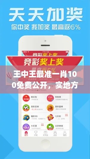 王中王最准一肖100免费公开，实地方案验证策略_3D41.21.8