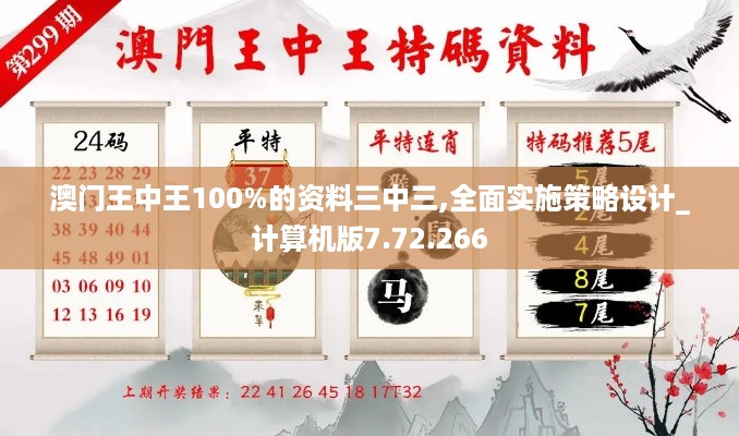 澳门王中王100%的资料三中三,全面实施策略设计_计算机版7.72.266