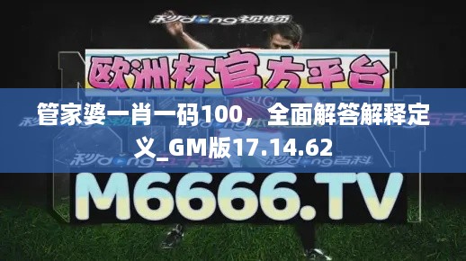 管家婆一肖一码100，全面解答解释定义_GM版17.14.62
