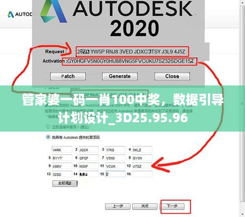 管家婆一码一肖100中奖，数据引导计划设计_3D25.95.96