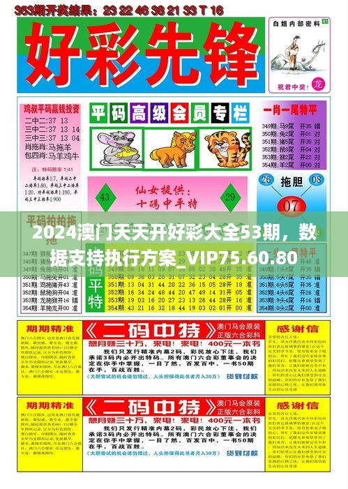 2024澳门天天开好彩大全53期，数据支持执行方案_VIP75.60.80