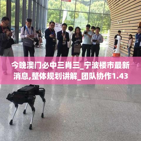 张牙舞爪 第44页