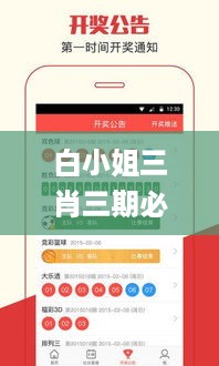 专业解答执行
