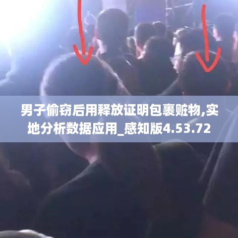 男子偷窃后用释放证明包裹赃物,实地分析数据应用_感知版4.53.72