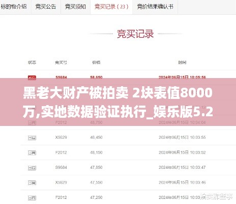 黑老大财产被拍卖 2块表值8000万,实地数据验证执行_娱乐版5.29.84