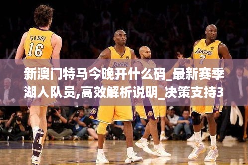 新澳门特马今晚开什么码_最新赛季湖人队员,高效解析说明_决策支持3.65.64