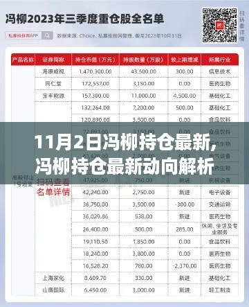 冯柳最新持仓动向解析，聚焦投资脉络与影响，洞悉投资趋势（附最新动向报告）