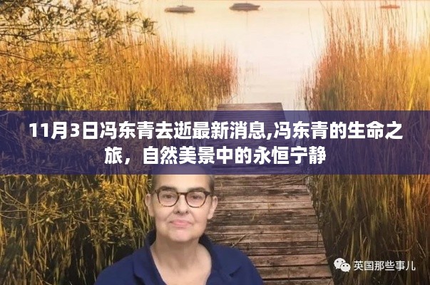 冯东青逝世，生命之旅的永恒宁静与美景相伴