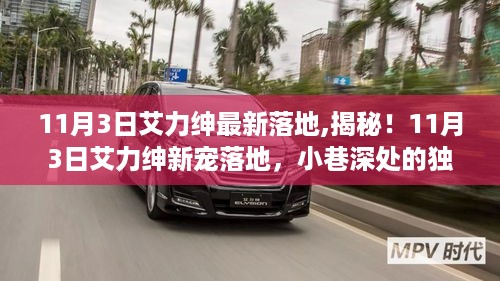 揭秘！艾力绅新宠落地，独特风味小店亮相小巷深处