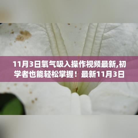 最新氧气吸入操作视频教程，初学者轻松掌握，11月3日步骤指南