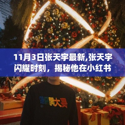 揭秘张天宇在小红书的无限魅力与最新动态，闪耀时刻（11月3日更新）