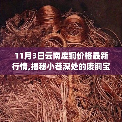 九死一生 第40页