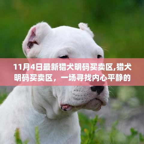 通知资讯 第515页