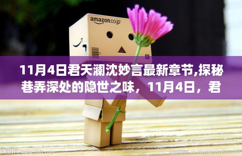 君天澜沈妙言小巷奇遇，探秘隐世之味