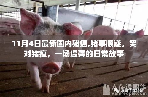 猪事顺遂，温馨日常故事中的猪瘟挑战