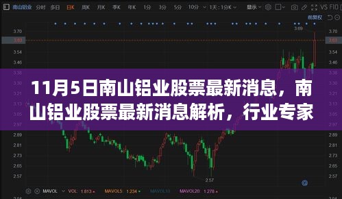 南山铝业股票最新动态，行业专家解析机遇与挑战