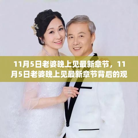 11月5日老婆晚上见最新章节及观点探讨