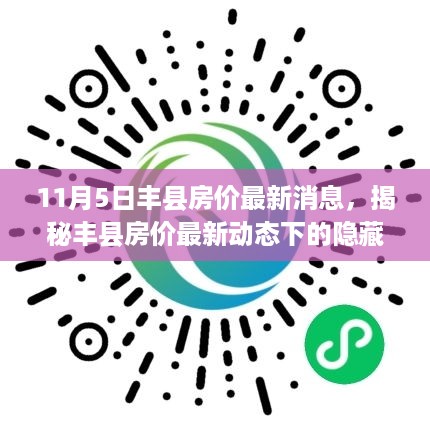 丰县房价最新动态揭秘，小巷宝藏中的特色小店