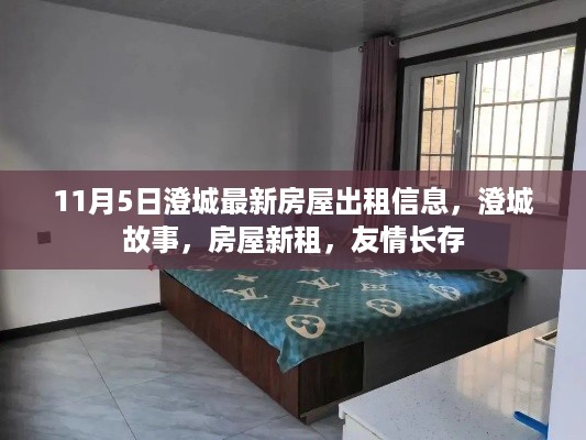 澄城最新房屋出租信息及故事分享，友情长存，房屋新租启事