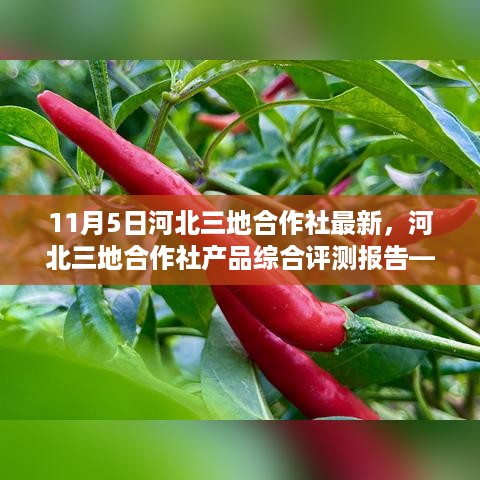 河北三地合作社产品最新动态综合评测报告，11月5日视角