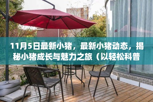 成功案例 第487页