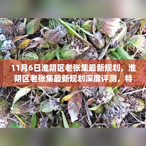 淮阴区老张集最新规划深度解析，特性、体验、竞品对比及用户群体分析报告