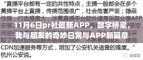 数字桥梁，与朋友共度的奇妙日常，11月6日APP新篇章开启