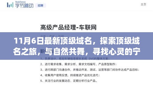 探索顶级域名之旅，与自然共舞的心灵港湾，最新域名探索体验