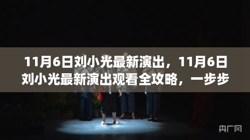 11月6日刘小光最新演出，观看全攻略与参与体验指南
