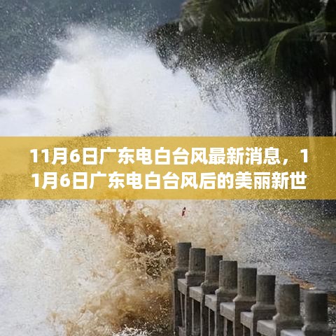 广东电白台风最新动态，台风后的美丽新世界与心灵之旅