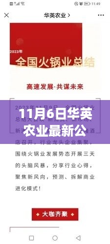 滔滔不绝 第32页