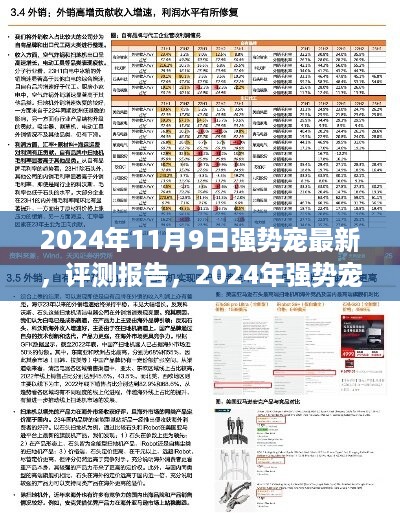 2024年强势宠最新评测报告，全面解读产品特性与使用体验