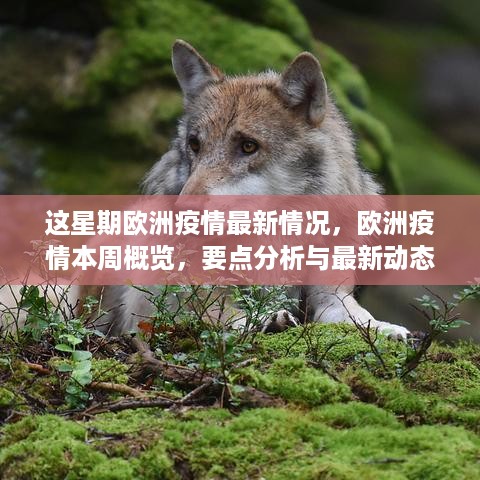 虎视眈眈 第32页
