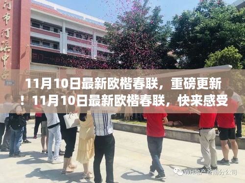 11月10日欧楷春联全新发布，领略传统艺术的魅力！