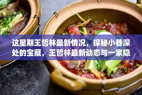 王哲林最新动态揭秘，小巷深处的宝藏与隐藏特色小店之旅